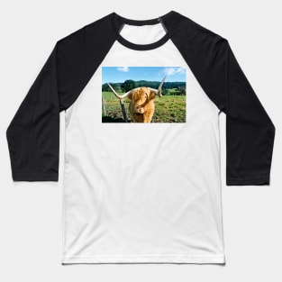 Scottish Highland cow Baseball T-Shirt